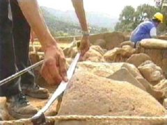 obra (646) PREVENCION RIESGOS LABORALES